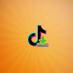 TikTok Downloader
